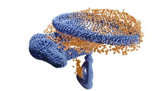 Non-Rigid Registration for Middle Ear Diagnostics with OCT